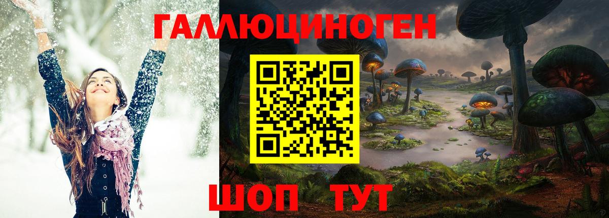 хочу наркоту  Вход с VPN  Галлюциногенные грибы GOLDEN TEACHER  Петропавловск-Камчатский  Псилоцибиновые грибы Magic Shrooms 
